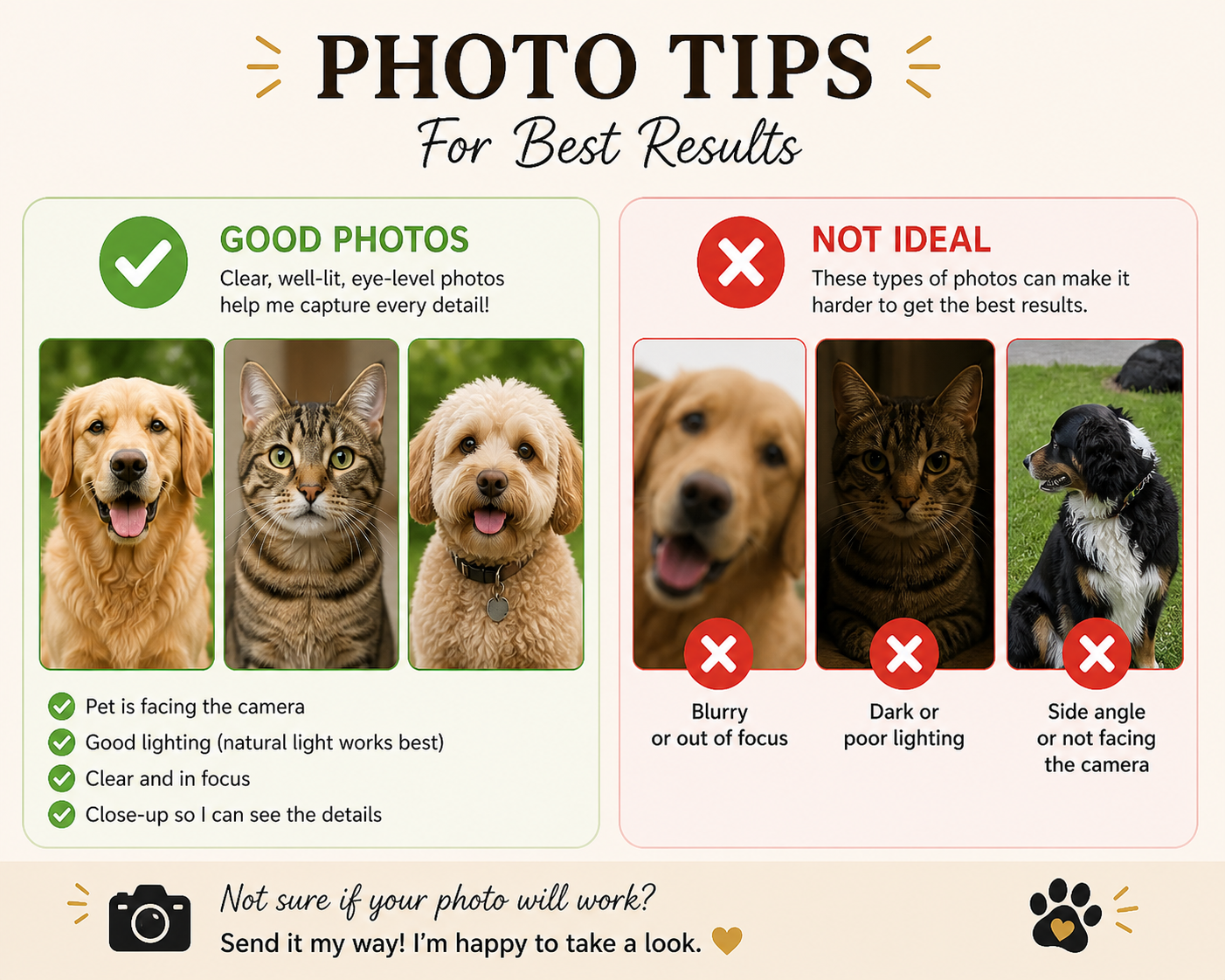 *Digital* Funny Custom Pet Portraits  Royals