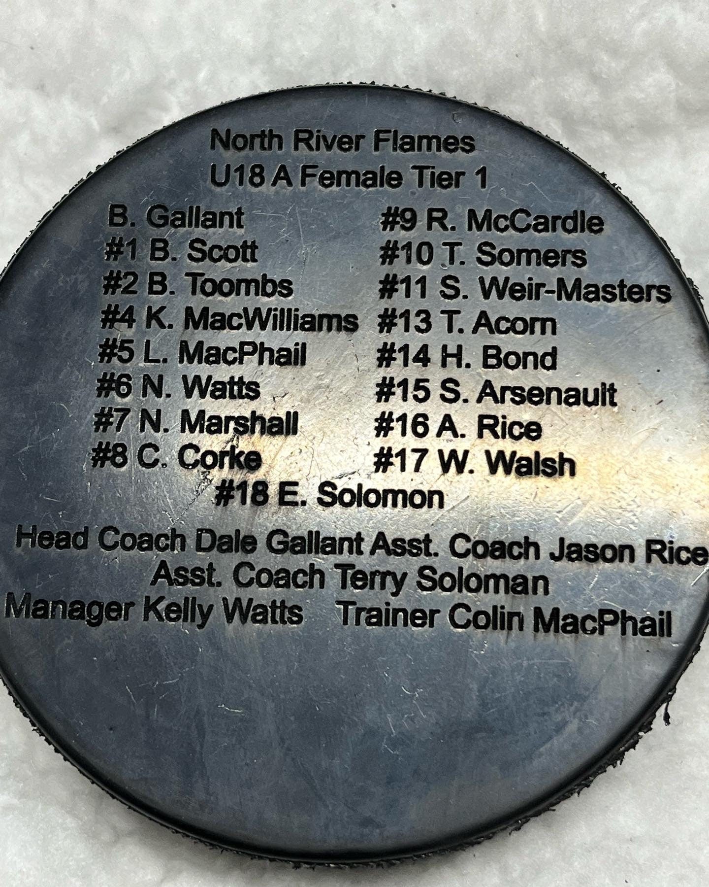 Custom Engraved hockey pucks (full team and coaches)