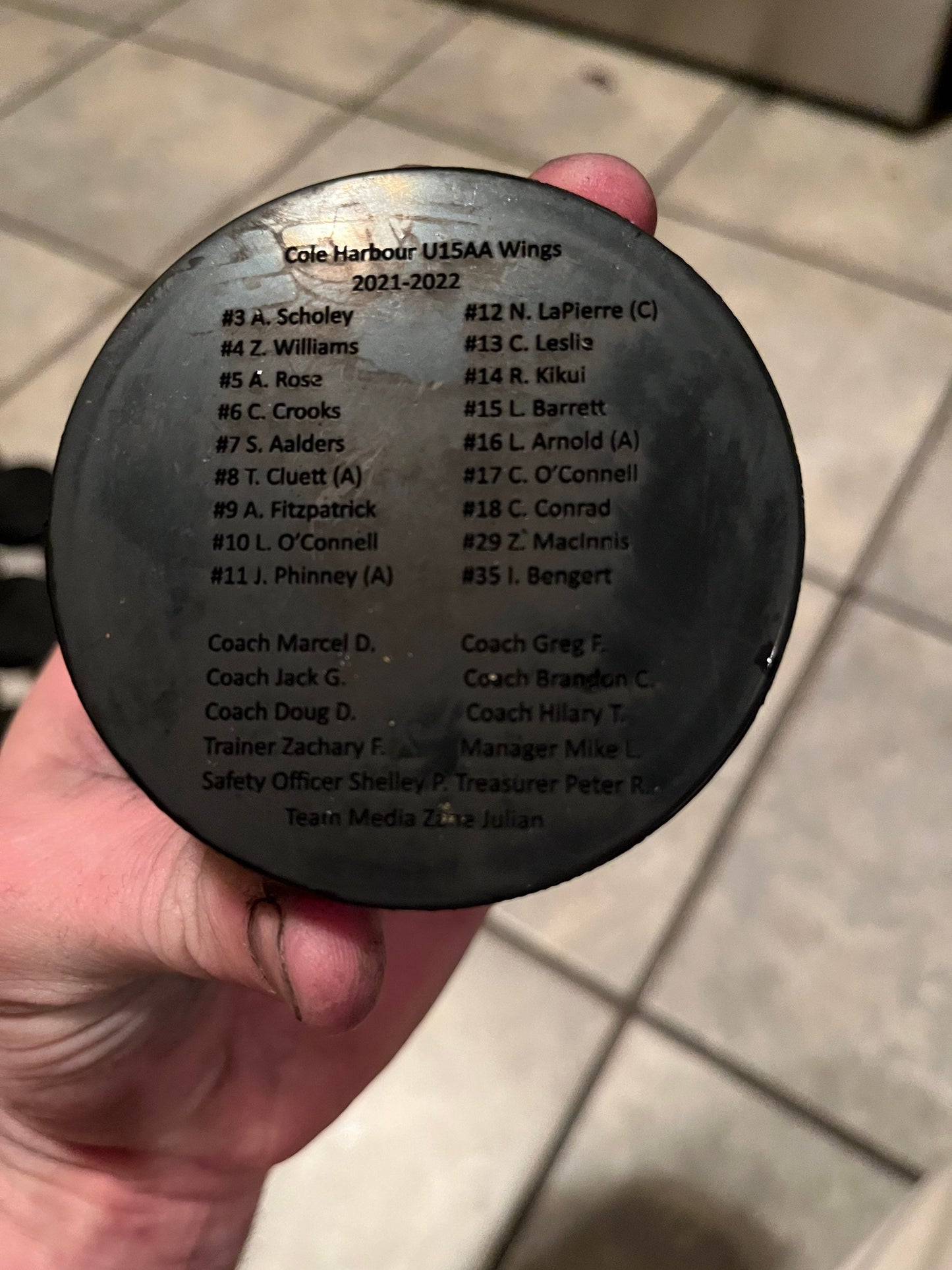 Custom Engraved team set of hockey pucks (players only)