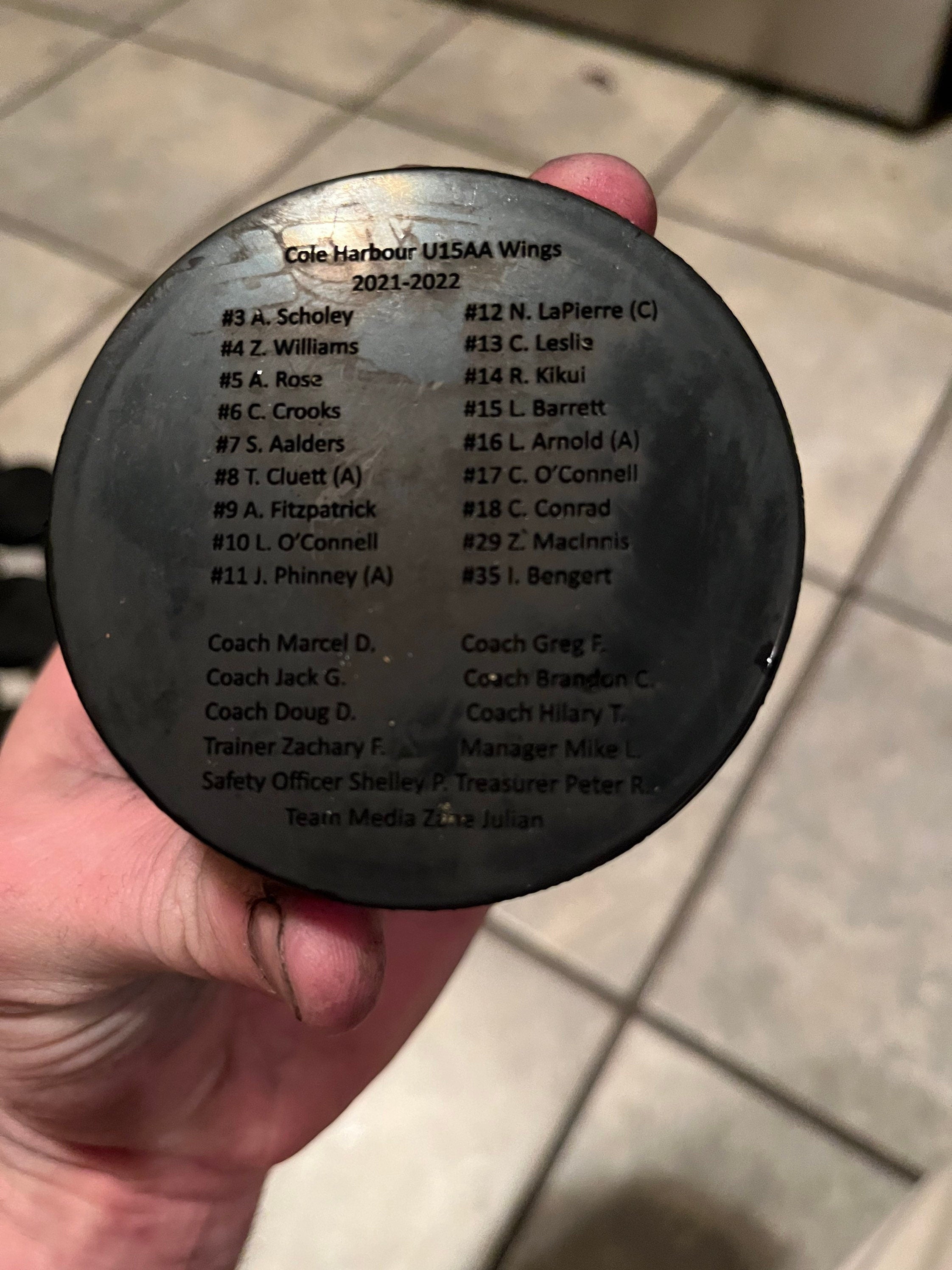 Custom Engraved team set of hockey pucks (players only)